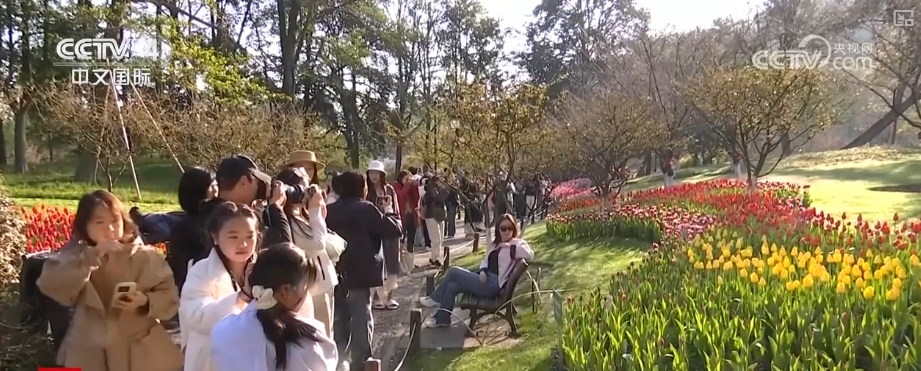 ”多核驱动赋能入境游 中高端市场释放多元潜力新葡京娱乐场app“数字+文化+影视+生态(图6)